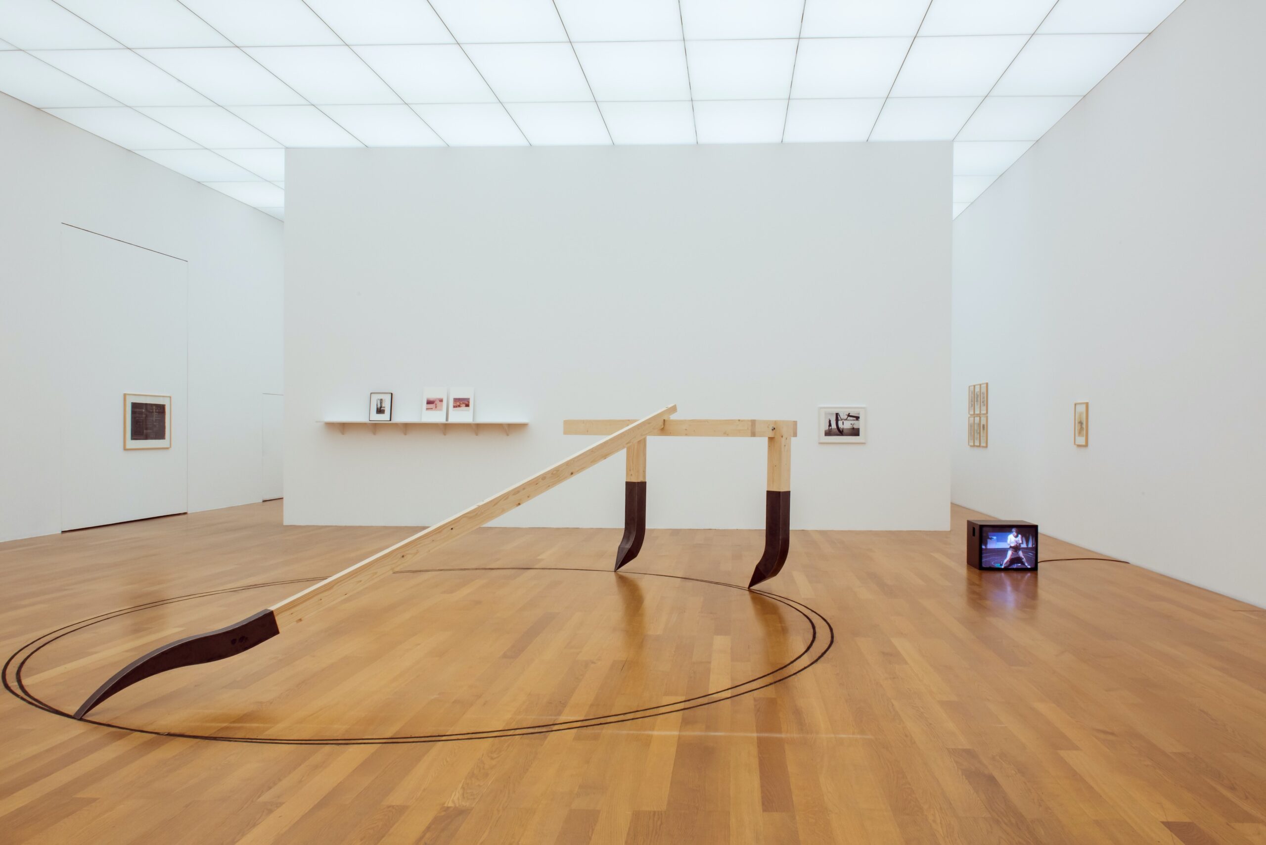neagu-bild-1-liechtenstein